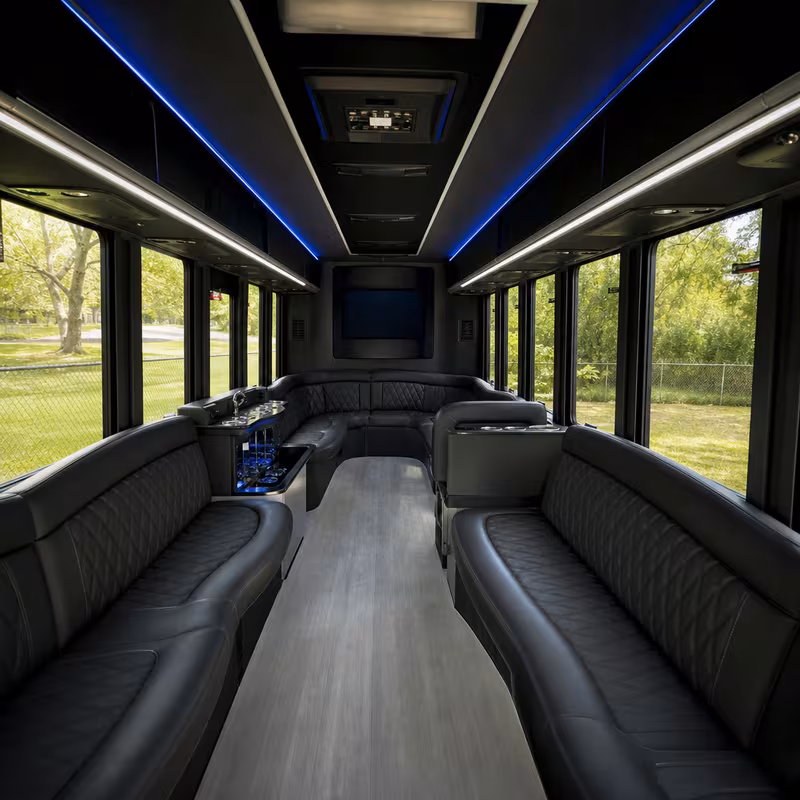 Passenger watching the Chicago scenery during a regional party bus road trip