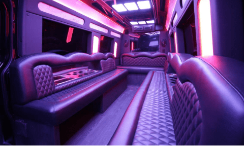 Rockford 14 Passenger Sprinter Bus Interior