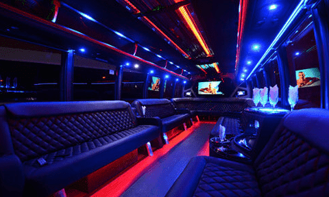Schaumburg 30 Passenger Party Bus Black Interior