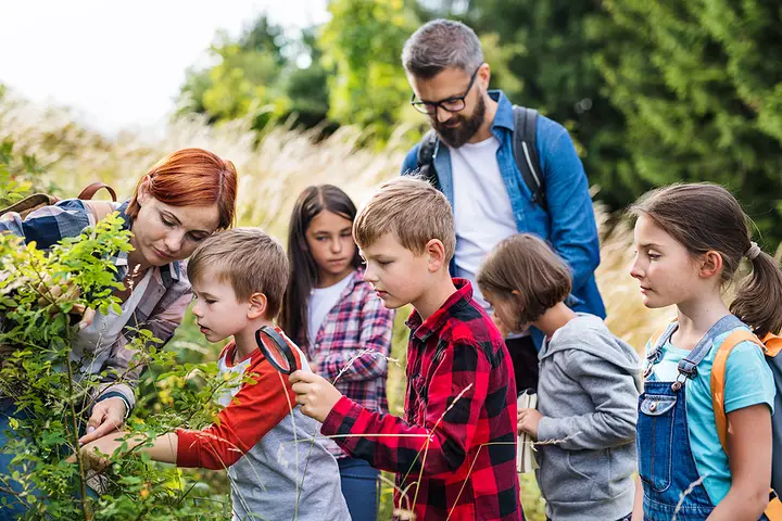 Rockford School Trip Bus Rentals